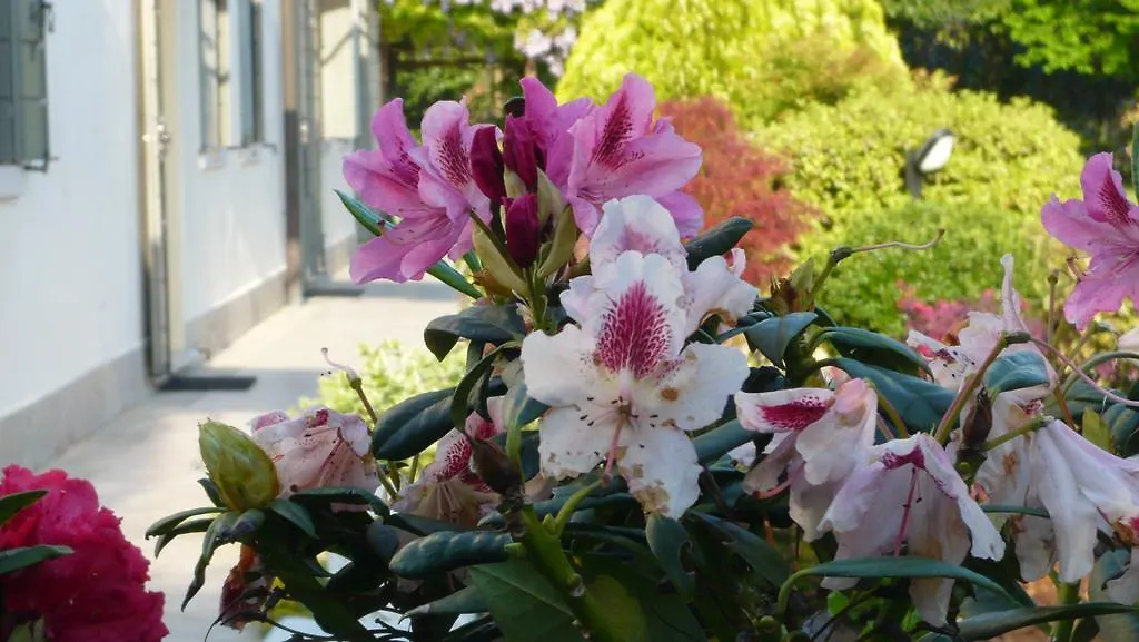 Bed & Breakfast Residenza Serena Mirano Italy